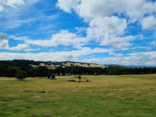 Sculpture park, Sheffield