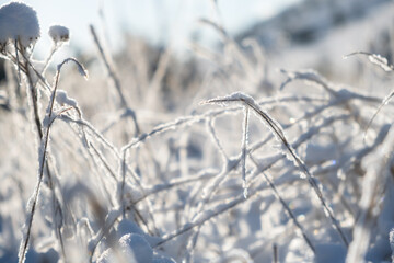 Snowfall. Snow-covered bushes close-up. View of the rural countryside landscape. A strong snowstorm, nothing can be seen through the white veil and fog. Gray calm winter landscape. Natural background