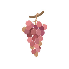 Grape cluster. Branch berries. Vector illustration in flat style.