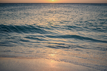 Beach shore at sunset