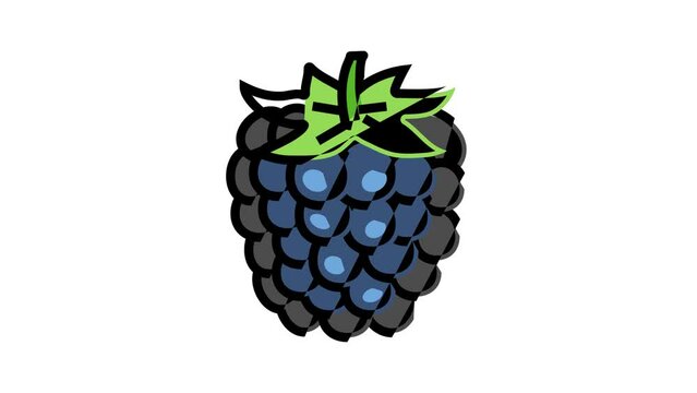 ripe blackberry color icon animation