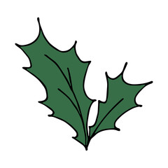 Hand drawn Christmas and New Year holly leaves bunch doodle. Holiday clipart