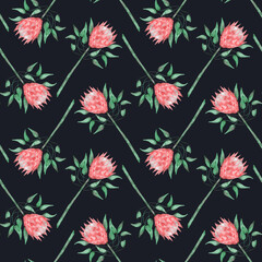 Seamless pattern with watercolor protea flowers. Boho floral pattern on black background
