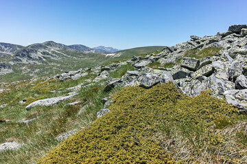 Summer view of Rila mountain near Belmeken Reservoir, Bulgaria