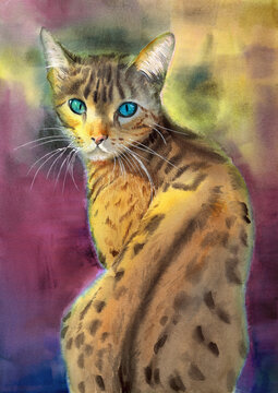 Watercolor illustration of a beautiful bengal cat with green eyes and a spotted fur coat on a pink yellow gray background