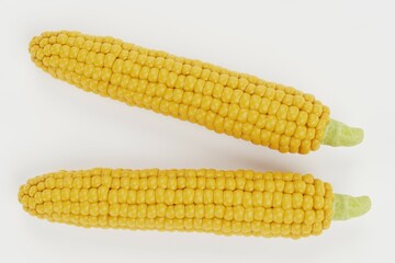 Realistic 3D Render of Corn