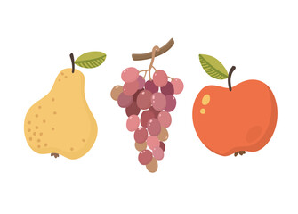 Set of fruits - pear, apple and grape. Vector illustration in flat style.
