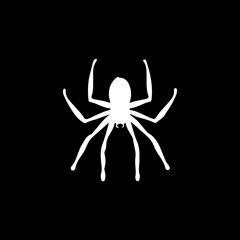 vector illustration of a spider silhouette
