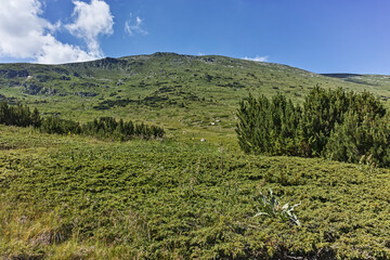Obraz premium Summer view of Rila mountain near Belmeken Reservoir, Bulgaria