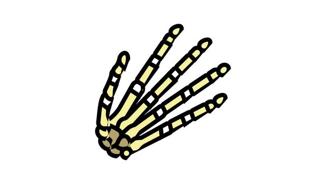 hand bone color icon animation