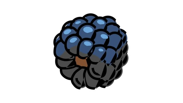delicious blackberry color icon animation