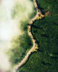 the road is shaped like a snake in the middle of a green forest with the beautiful clouds. Aerial drone view © hanakrisna
