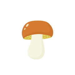 Suillus. Forest mushroom. Vector illustration in flat style.