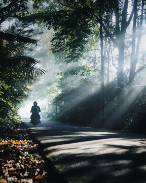 a father and son riding a motorbike through a green forest with beautiful and epic morning sunlight