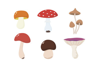 Set with forest mushrooms. Vector illustration in flat style.