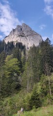 Fototapeta na wymiar German alps climbing Rock Panoramic views altitude Landscape
