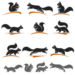 Squirrel set. Collection squirrel icons. Vector © VKA