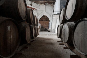 wine barrels in a cellar