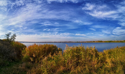 Lake shore with reeds, blue sky and white clouds