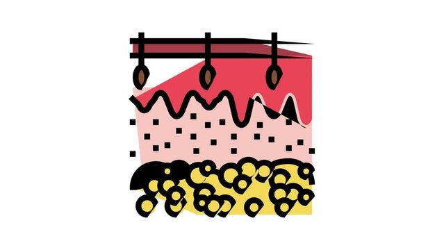 skin human organ color icon animation
