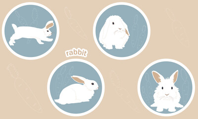 A set of four cartoon characters, a white rabbit in different poses and with different emotions, a bunny with a carrot. Colored vector flat illustration sticker isolated with stroke on beige backgroun