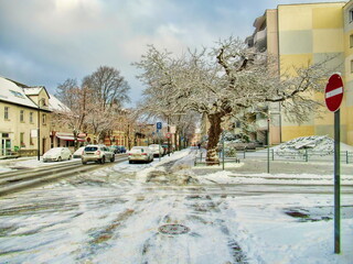 erkner, deutschland - straße im winter mit wahrzeichen weißer maulbeerbaum