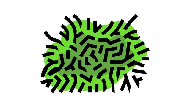 java moss color icon animation