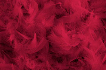 background of magenta feathers beautiful tactile soft surfaces and texture