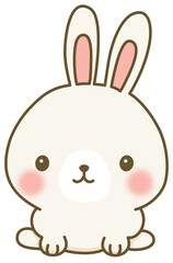 Cute rabbit bunny