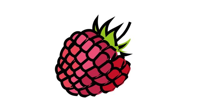 raspberry berry leaf color icon animation