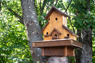 Hand made wooden shelter, bird house, placed on the tree in forest, birdwatchers stop place to enjoy ornithology 