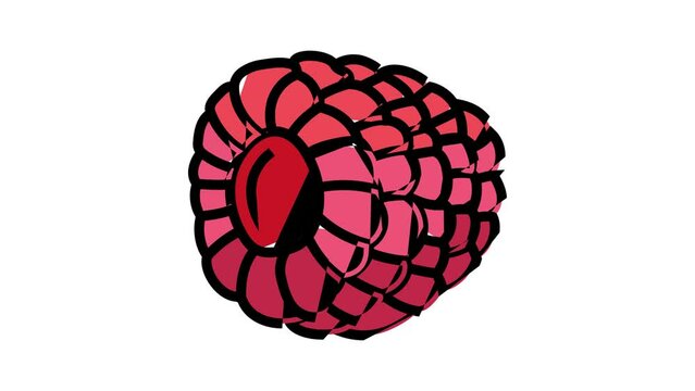 ripe juicy raspberry fruit color icon animation