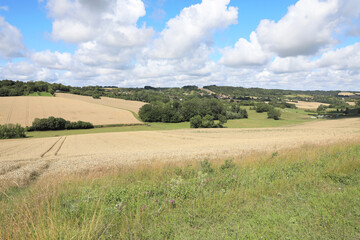 Idyllic countryside in Yonne, Burgundy, France