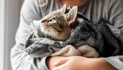 Fototapeta na wymiar Cute striped kitten wrapped in a scarf. Close-up of a cat's muzzle wrapped in a knitted blanket. Cozy and warm concept. Kitten in the arms of a child.