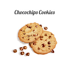 Chocochips cookies isolated on white background. Hand drawn watercolor vector illustration