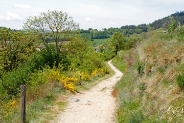 Fototapeta na wymiar Chemin de randonnée Compostelle GR65