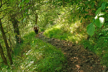 Chemin de randonn&eacute;e Compostelle GR65