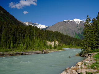 Green glacial silt laden waters of the Kicking Horse River flow along the mountains of Canada