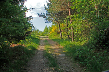 Fototapeta na wymiar Chemin de randonnée Compostelle GR65