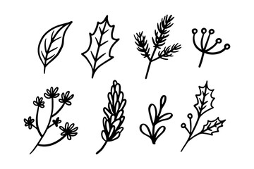 Fototapeta premium Set of winter and Christmas floral hand drawn illustration design