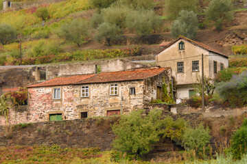 Landscape and architectural views along the Douro Valley in Portugal