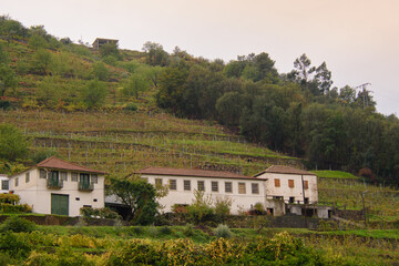 Landscape and architectural views along the Douro Valley in Portugal