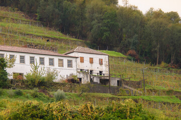 Fototapeta na wymiar Landscape and architectural views along the Douro Valley in Portugal