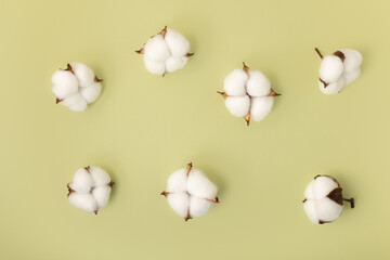 Cotton flowers on a light background. 