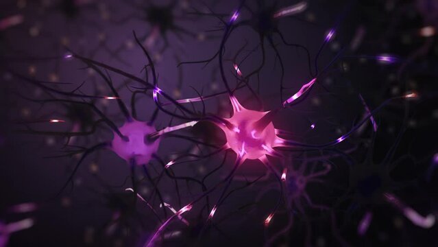 Concept neuron connect. 3D Animation Neurons in the Brain. Nerve Cells Sending Electrical and Chemical Signals. Synapse Process Inside the Nervous System. Brain Network, Neurotransmitter Impulses.
