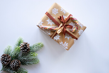 A gift in a beautiful box and a pine branch with cones on a white background.