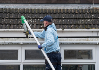 A window and gutter cleaner cleaning Dirty clogged white plastic pvc gutters and drain pipes with mossy green mould on plastic fascias. Blocked drains and guttering need  regular yard work maintenance
