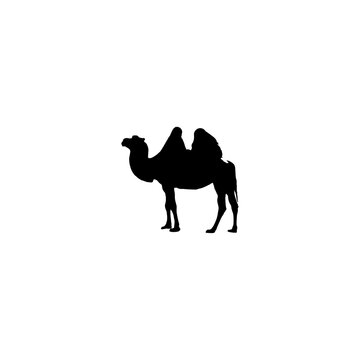 Camel icon. Simple style Saudi Arabia travel big sale poster background symbol. Camel brand logo design element. Camel t-shirt printing. Vector for sticker.