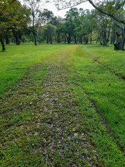 path in the park