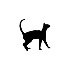 Cat icon. Simple style animal welfare association poster background symbol. Cat brand logo design element. Cat t-shirt printing. Vector for sticker.
